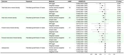 Effects of FGF21 overexpression in osteoporosis and bone mineral density: a two-sample, mediating Mendelian analysis